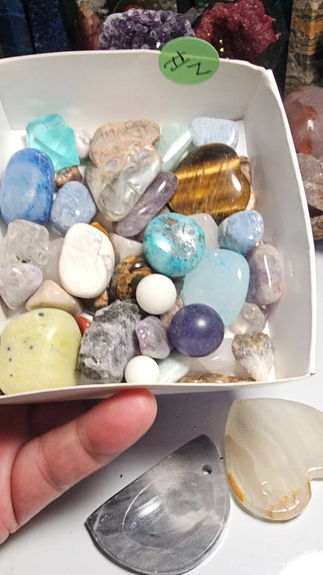 plant/Scoop mix #z-0