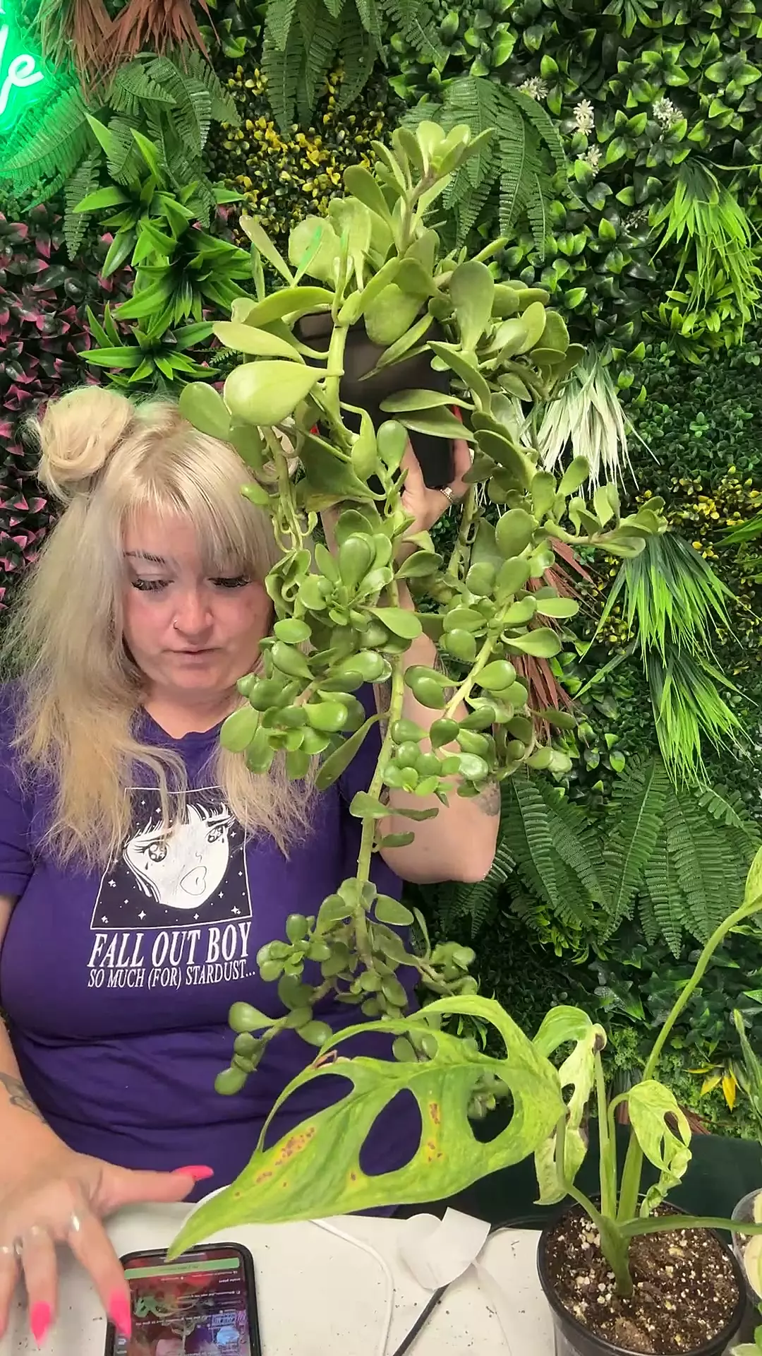 plant/trailing Jade-0