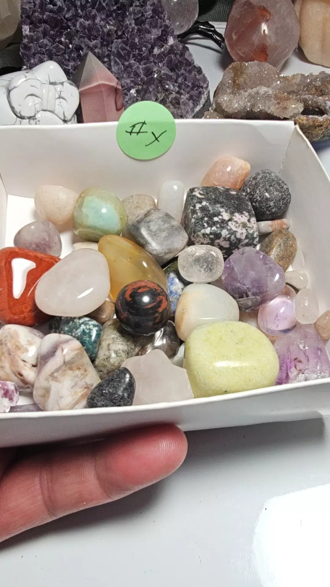 plant/Scoop mix #x-0