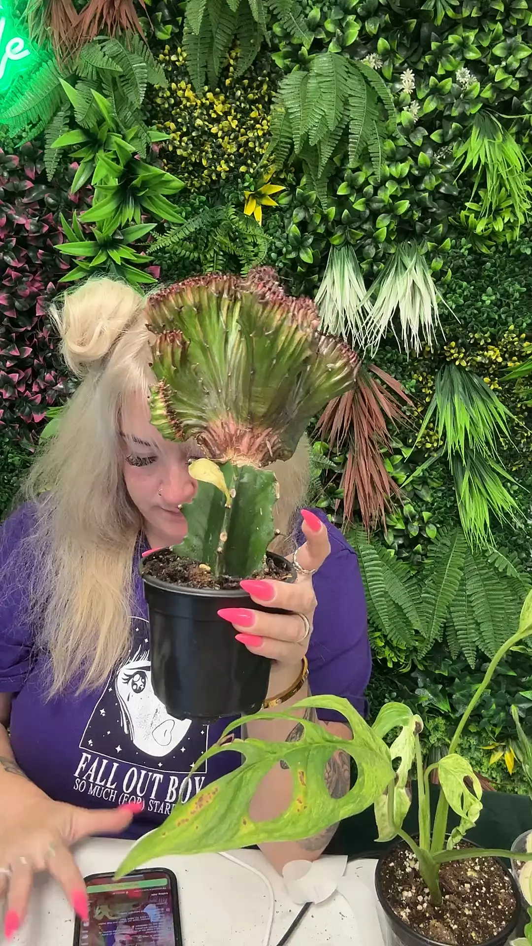 plant/red mermaid tail-0