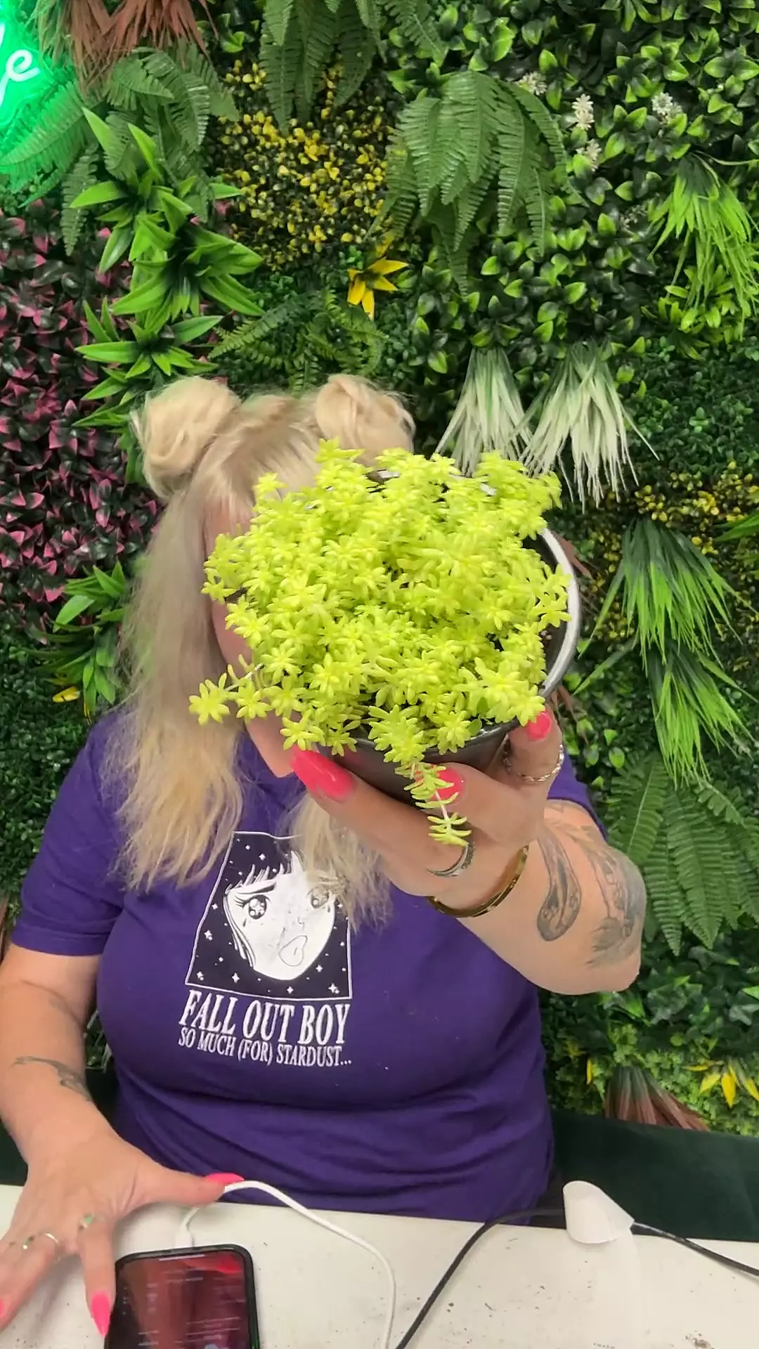 plant/Tokyo sun sedum-0