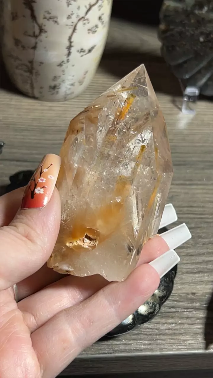 plant/Quartz from Inner Mongolia with Amphibole and Rutile-0