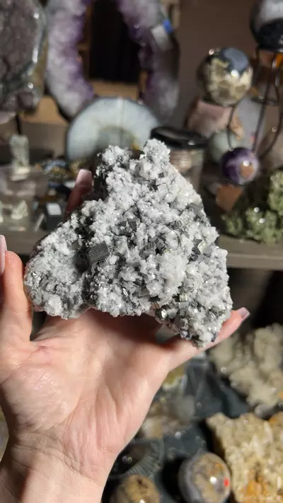 plant/Dolomite with Pyrite-0-thumbnail