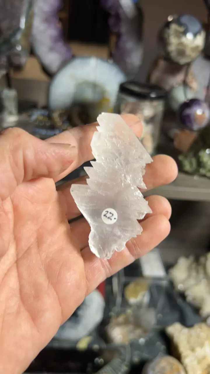 plant/Fishtail Selenite-0