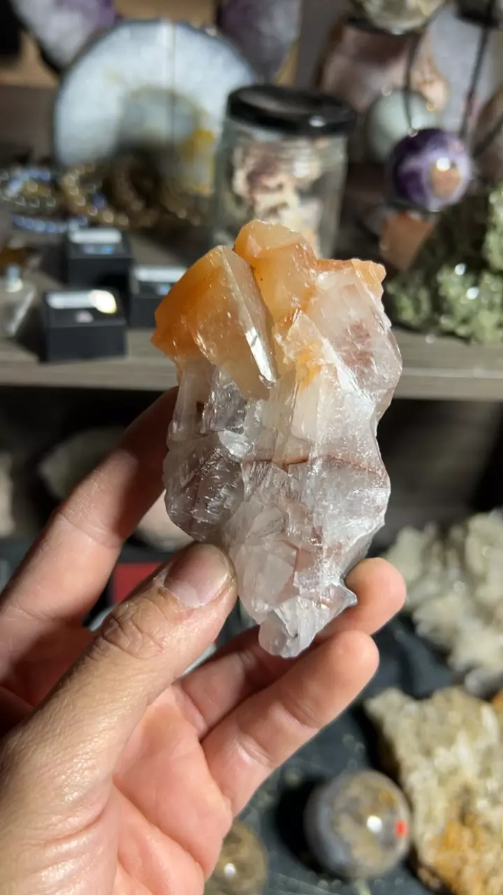 plant/3rd Generation Calcite-0