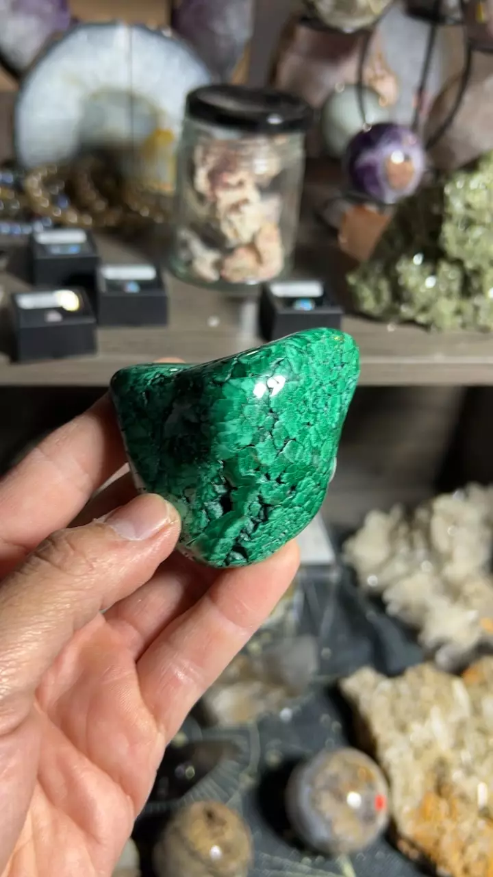 plant/Malachite Freeform-0
