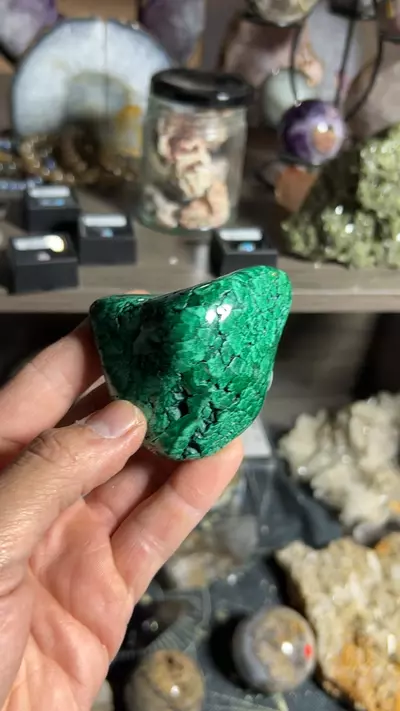 plant/Malachite Freeform-0-thumbnail