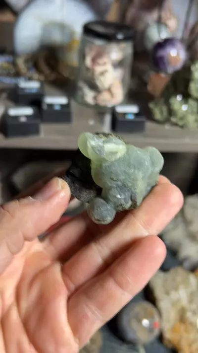 plant/Epidote & Prehnite-0-thumbnail