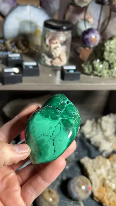 plant/Malachite Freeform-0-thumbnail