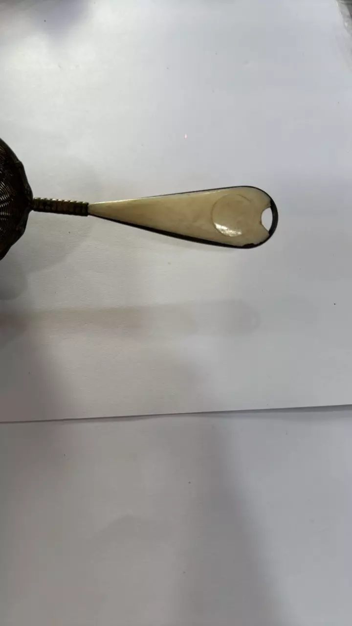 plant/Vintage Tea Strainer-1