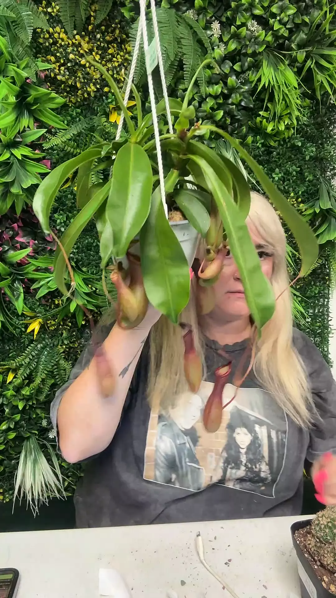 plant/pitcher plant-0