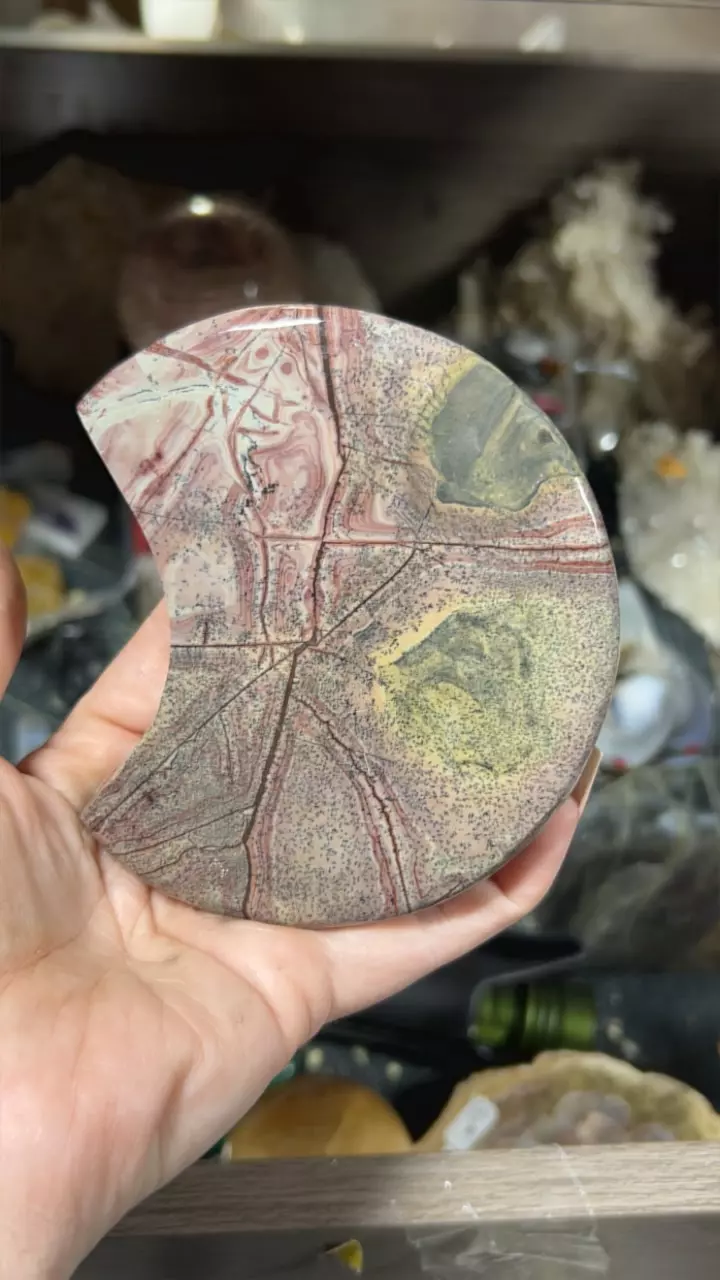 plant/Picture Jasper Moon-0