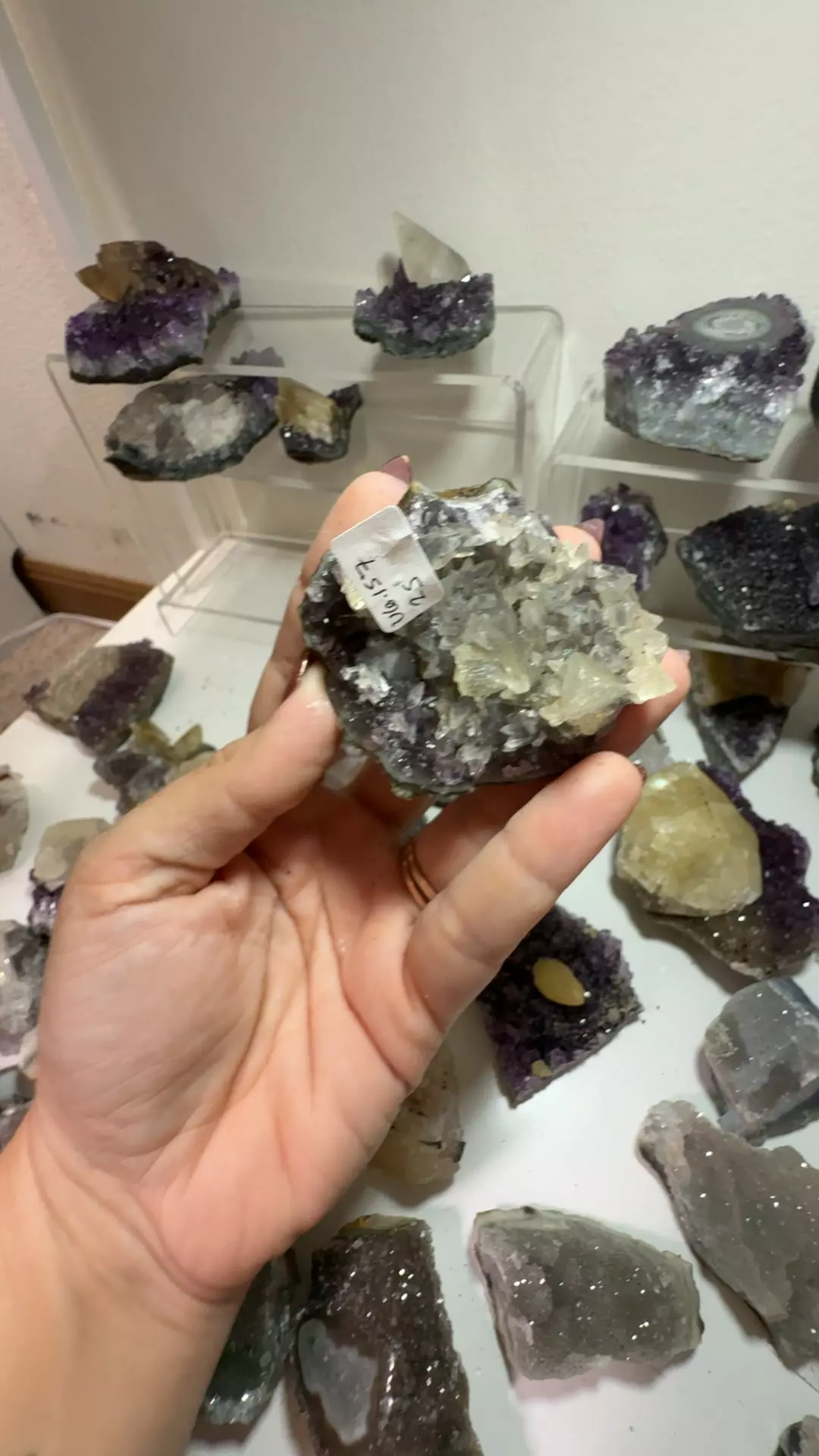 plant/U6.157 Amethyst with Calcite-0