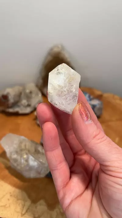 plant/Herkimer NY-0-thumbnail