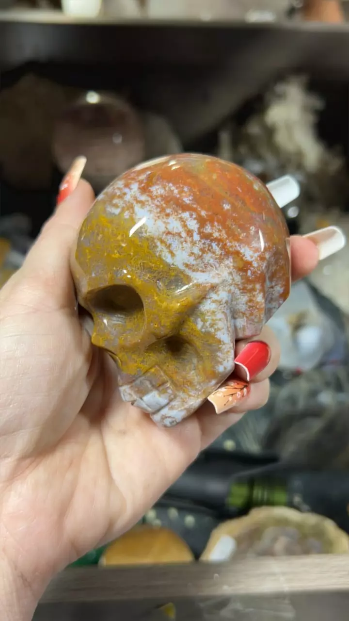 plant/Moss Agate Skull-0
