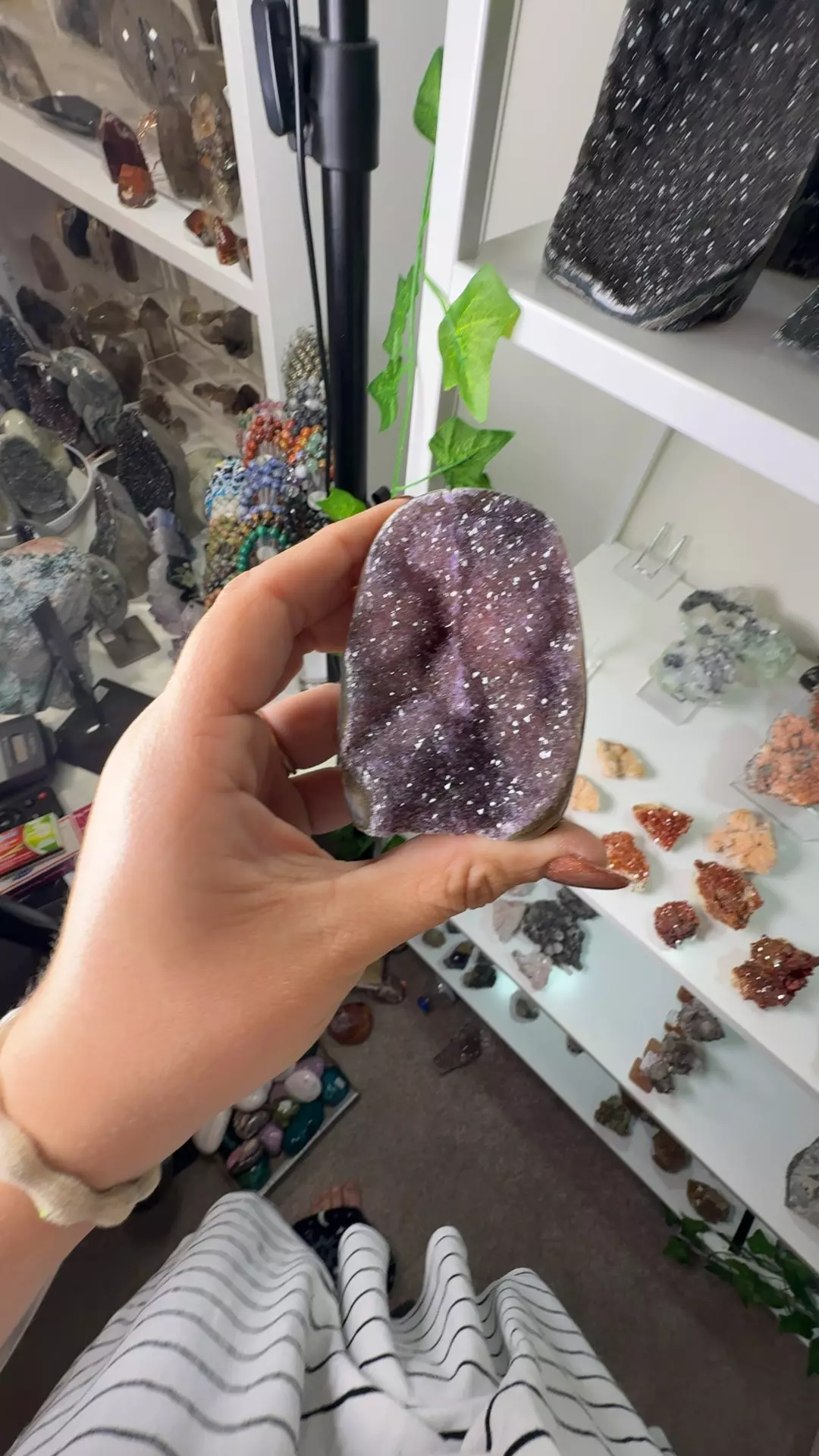 plant/U6.34 Amethyst Cutbase-0