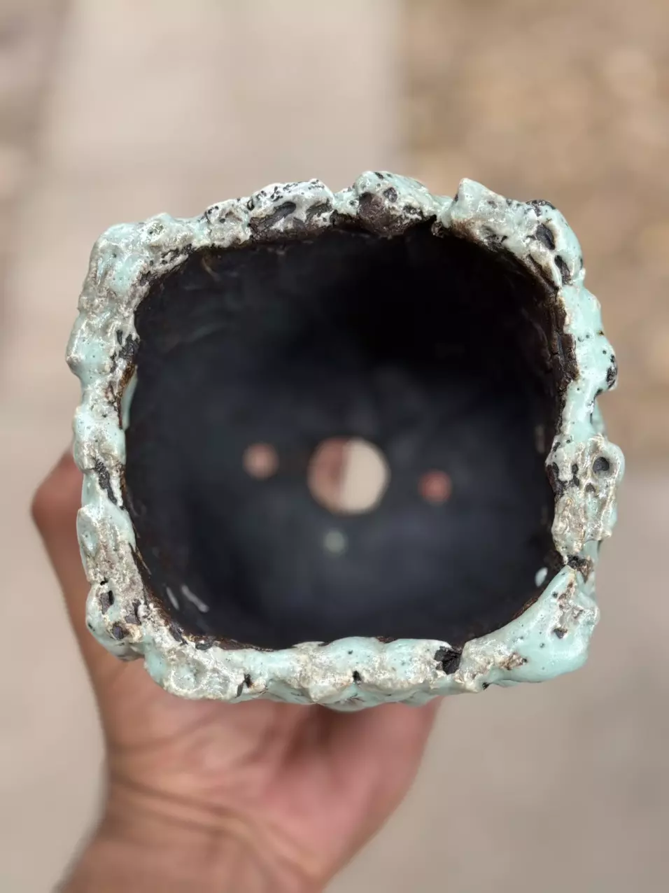 plant/Mint coconut Drip Square 4.5x4H-1