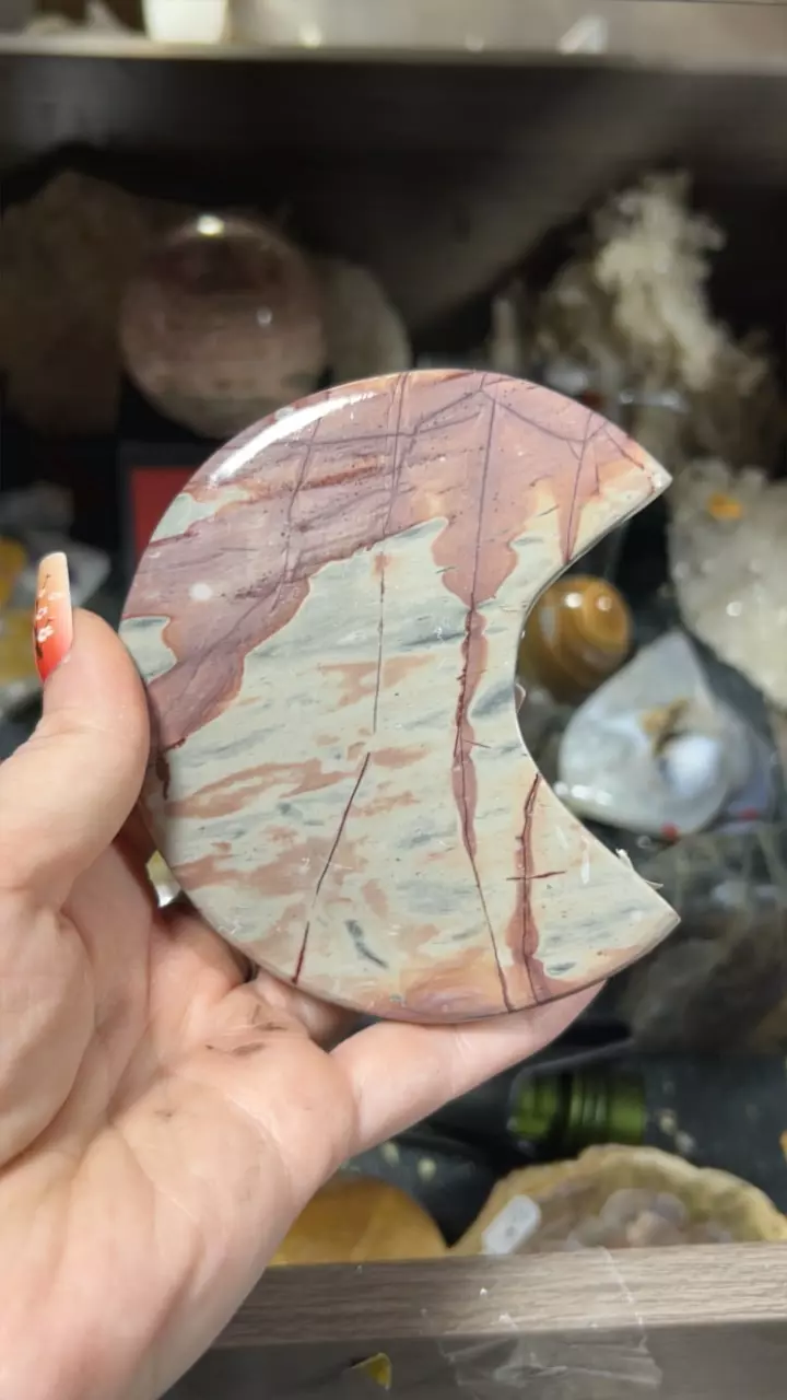 plant/Picture Jasper Moon-0