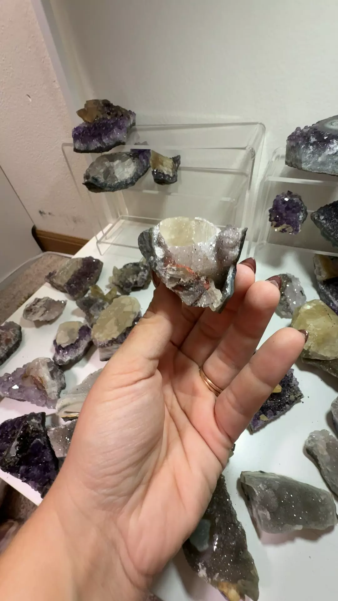 plant/U6.113 amethyst cluster-0