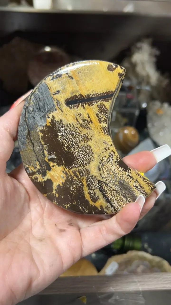 plant/Picture Jasper Moon-0