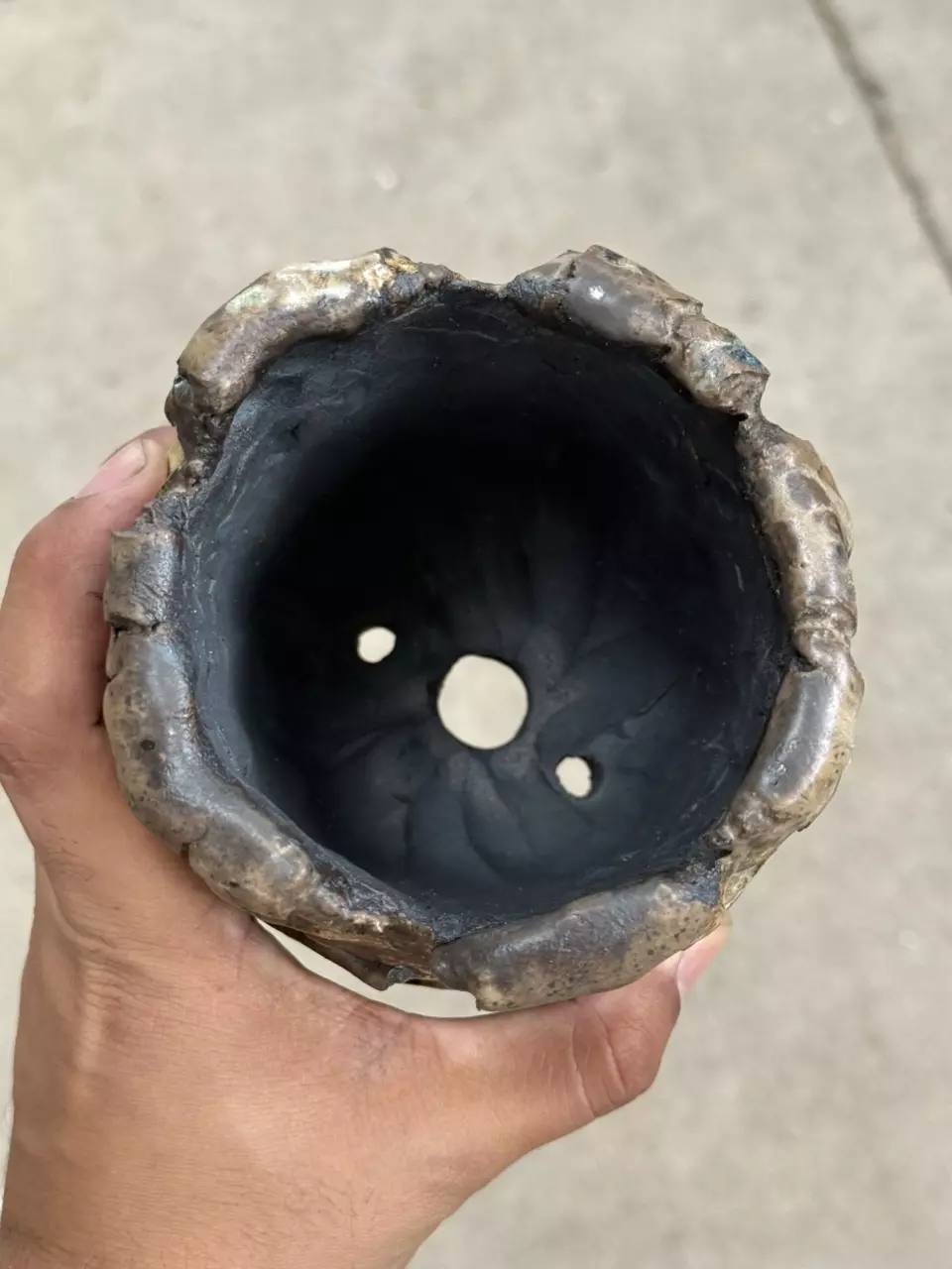 plant/Muddy Bones 4.5x5H-1