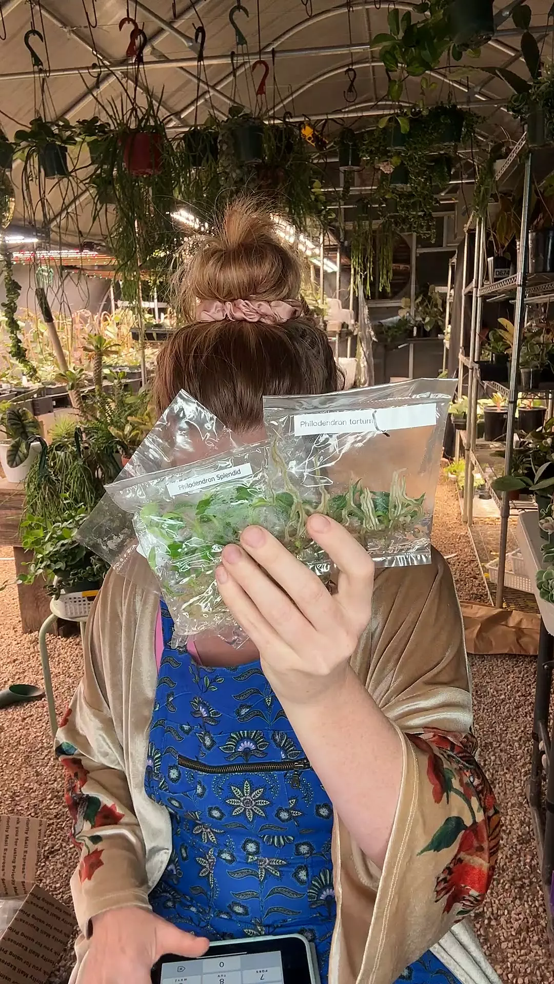 plant/Beginner TC Mystery-0