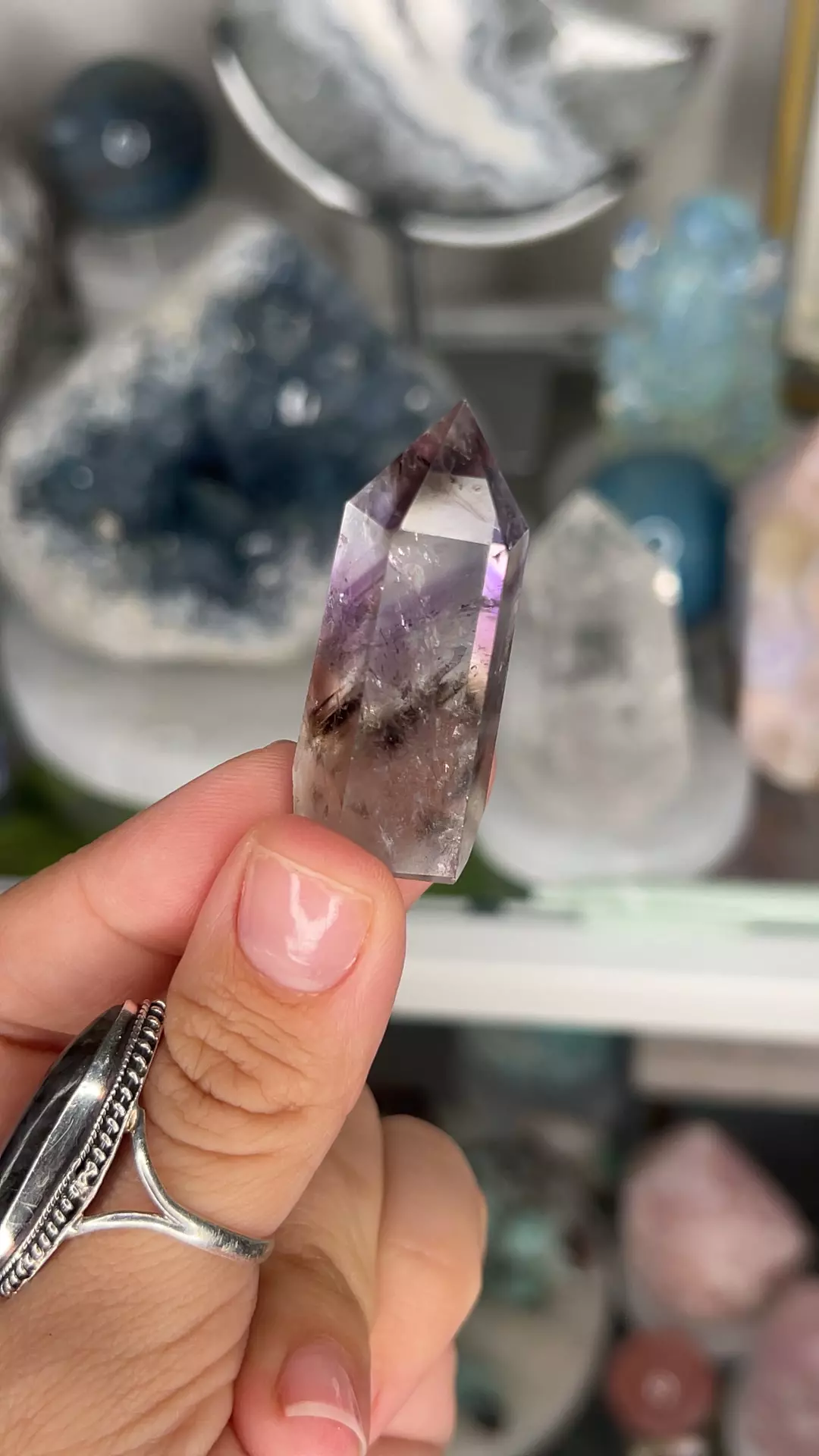 plant/Phantom Amethyst Point-0