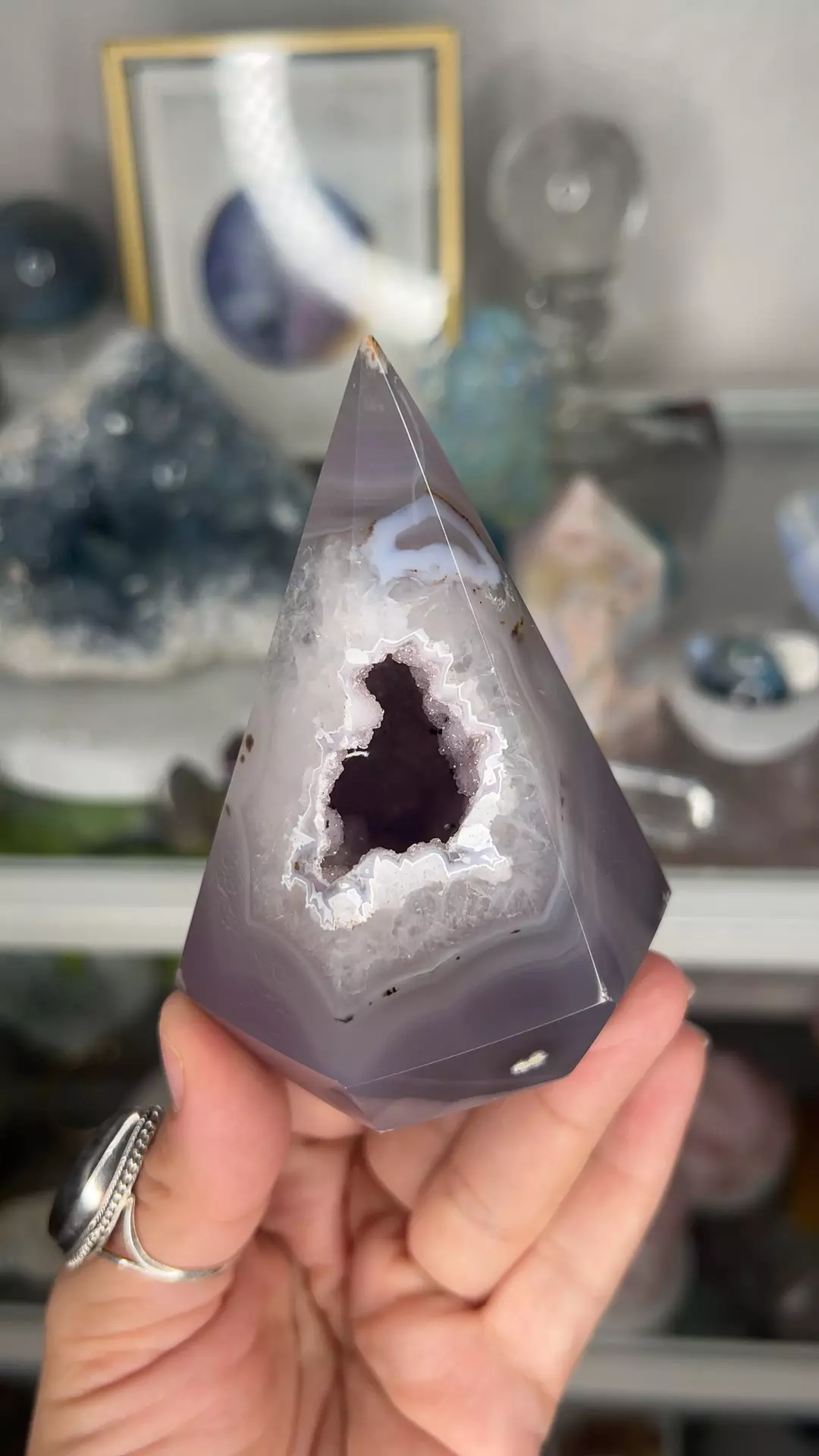plant/Brazilian Agate Tipi $62-0