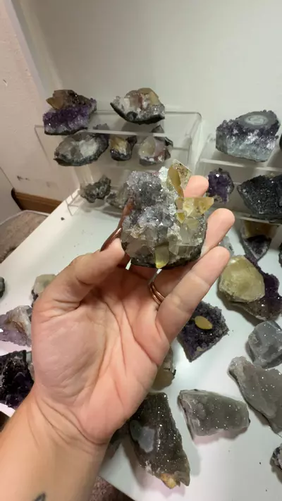 plant/U6.117 amethyst cluster-0-thumbnail