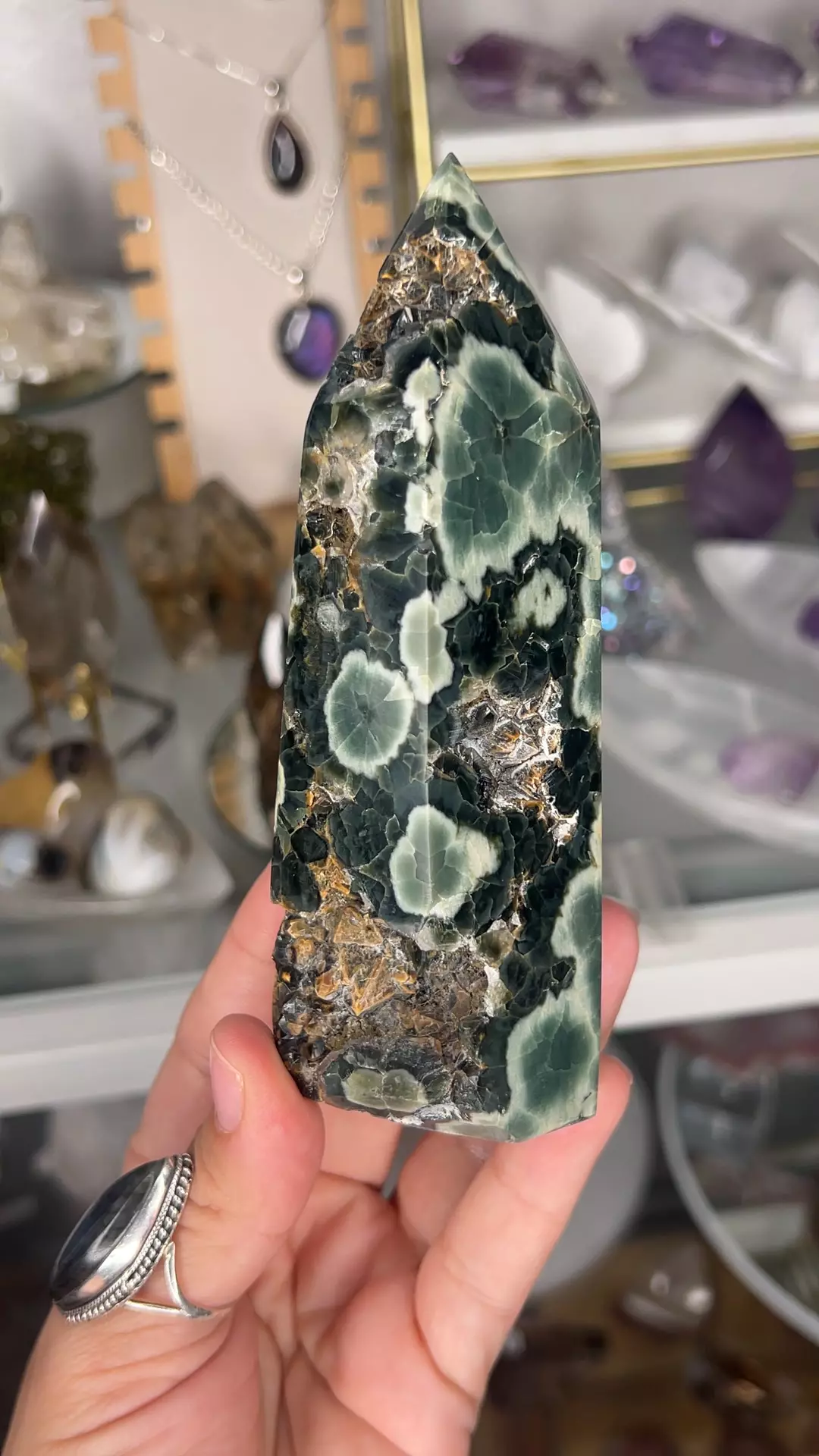 plant/Druzy Ocean Jasper point $62-0