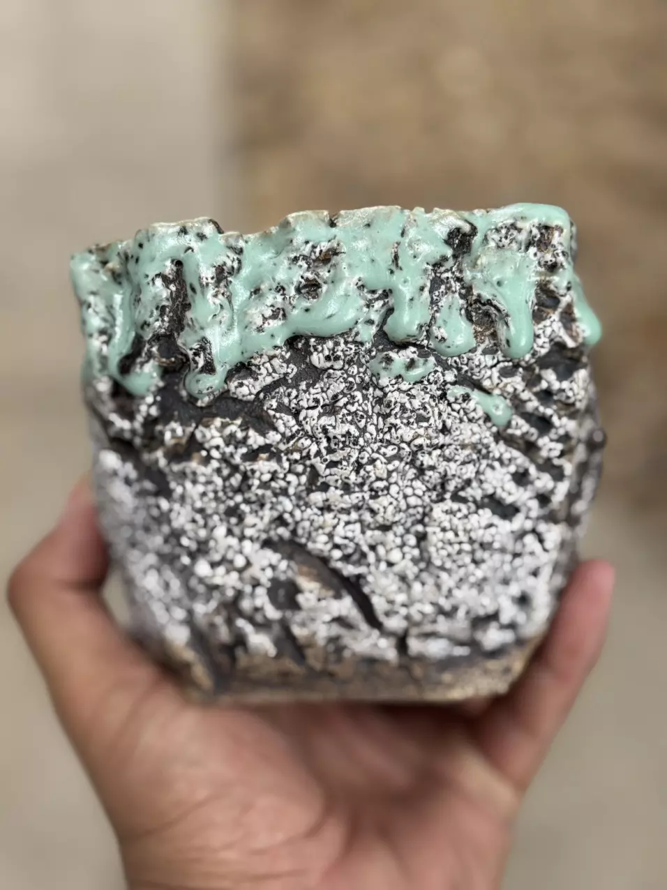 plant/Mint coconut Drip Square 4.5x4H-0