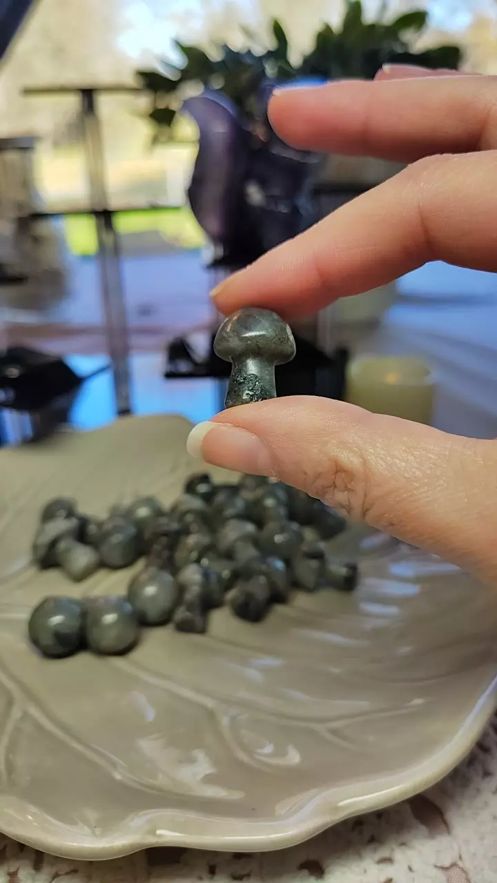 plant/Buyers choice labradorite mushies-0
