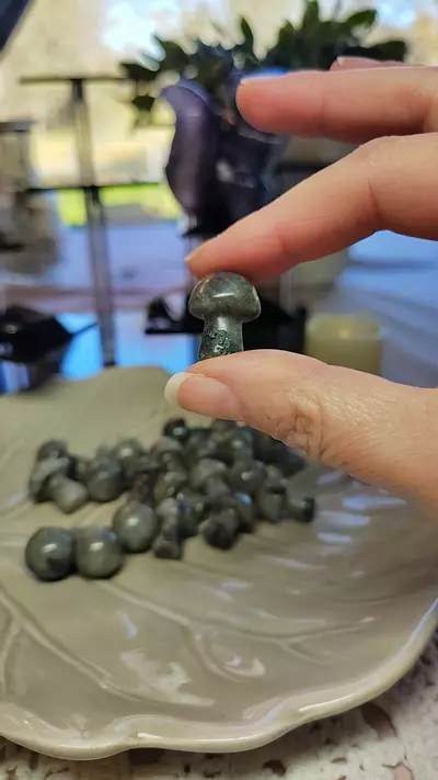 plant/Buyers choice labradorite mushies-0-thumbnail