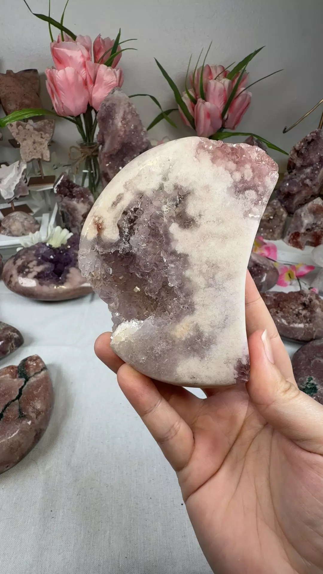 plant/pink amethyst moon A10063-0