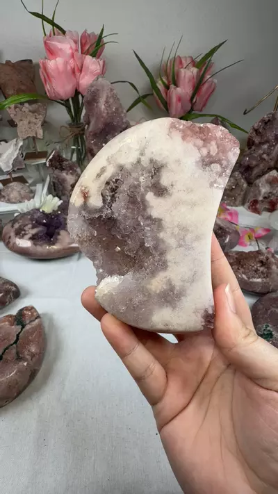 plant/pink amethyst moon A10063-0-thumbnail