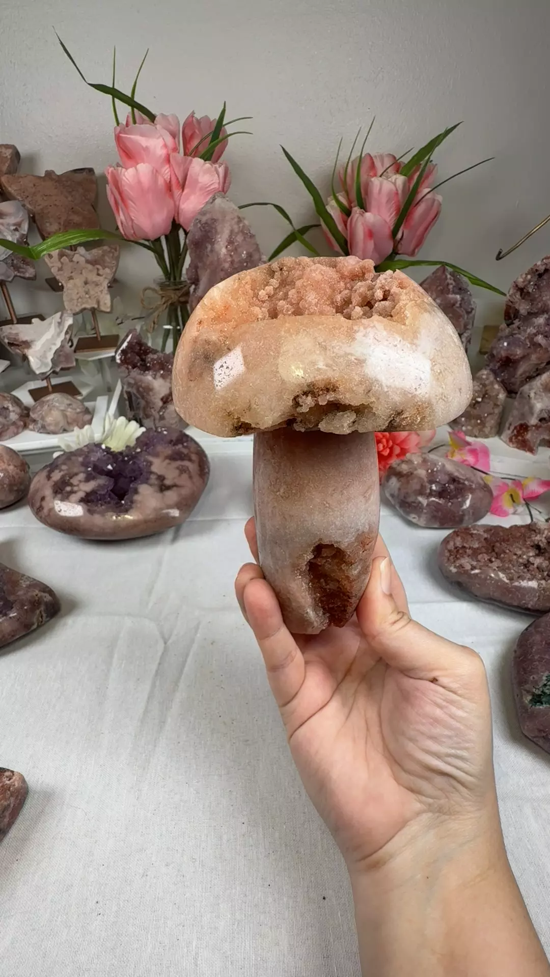 plant/pink amethyst mushroom A10058-0