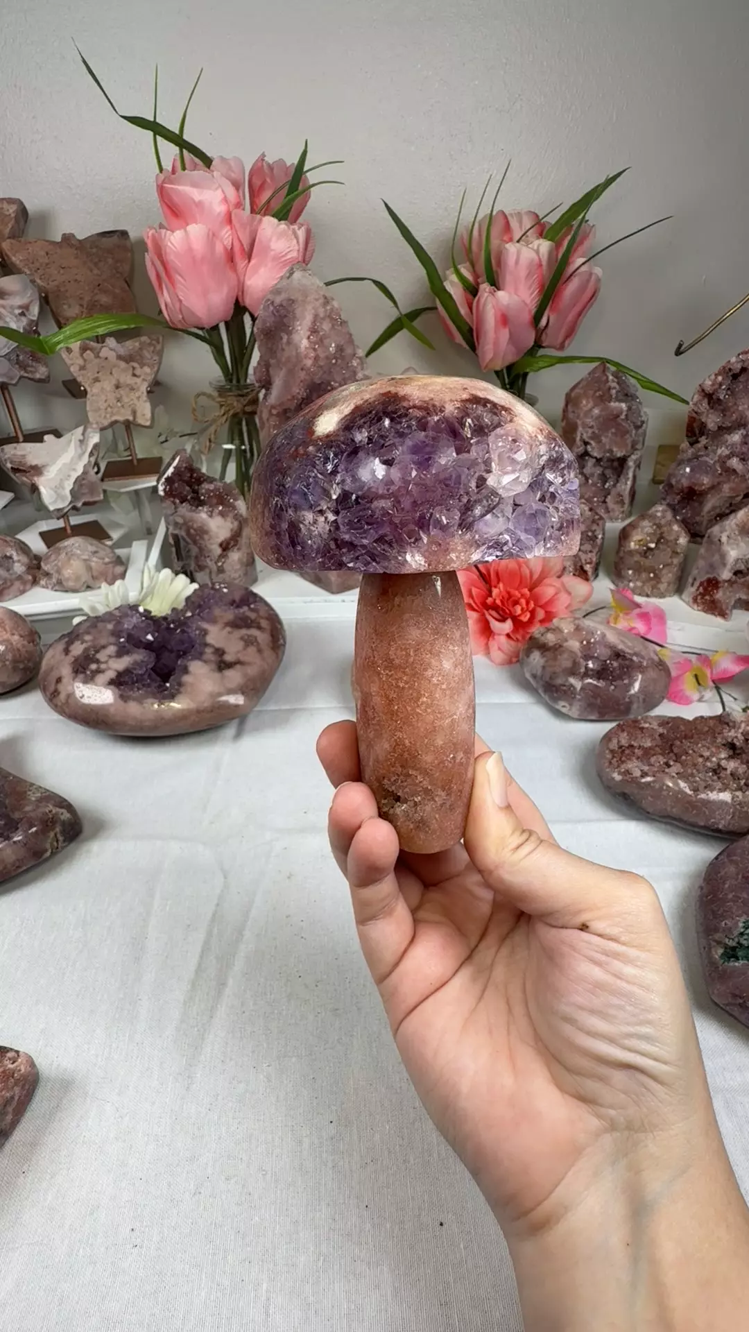 plant/pink amethyst mushroom A10048-0
