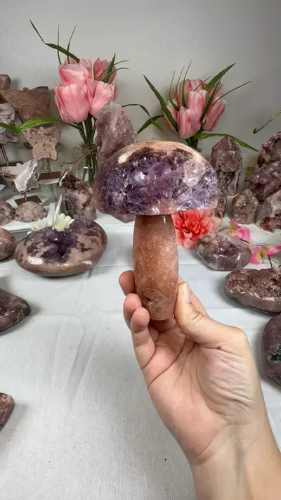 plant/pink amethyst mushroom A10048-0-thumbnail