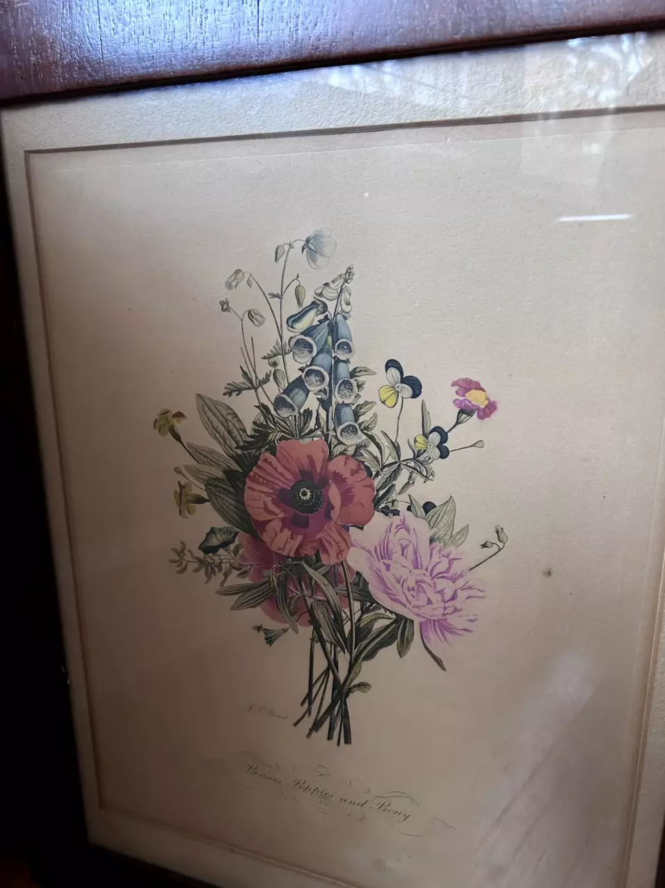 plant/Large Floral Lithograph-1