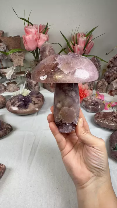 plant/pink amethyst mushroom A10055-0-thumbnail
