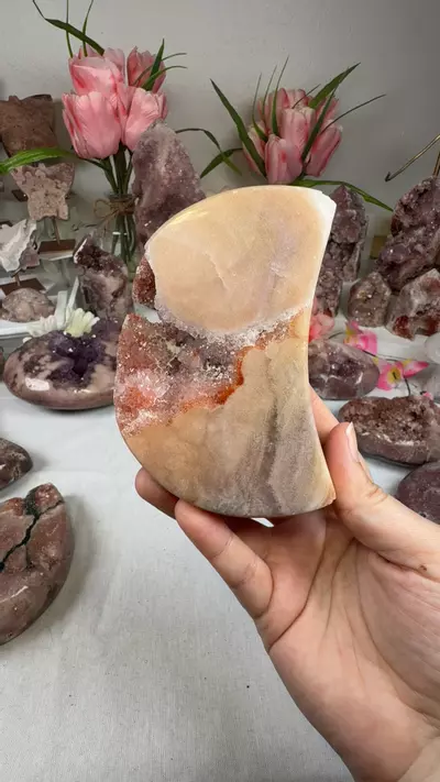 plant/pink amethyst moon A10061-0-thumbnail