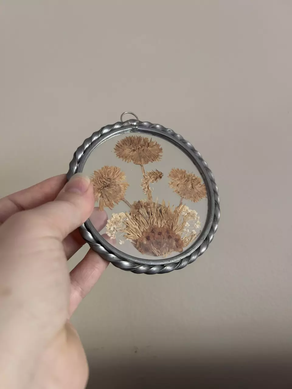plant/Circle Dried Floral-1