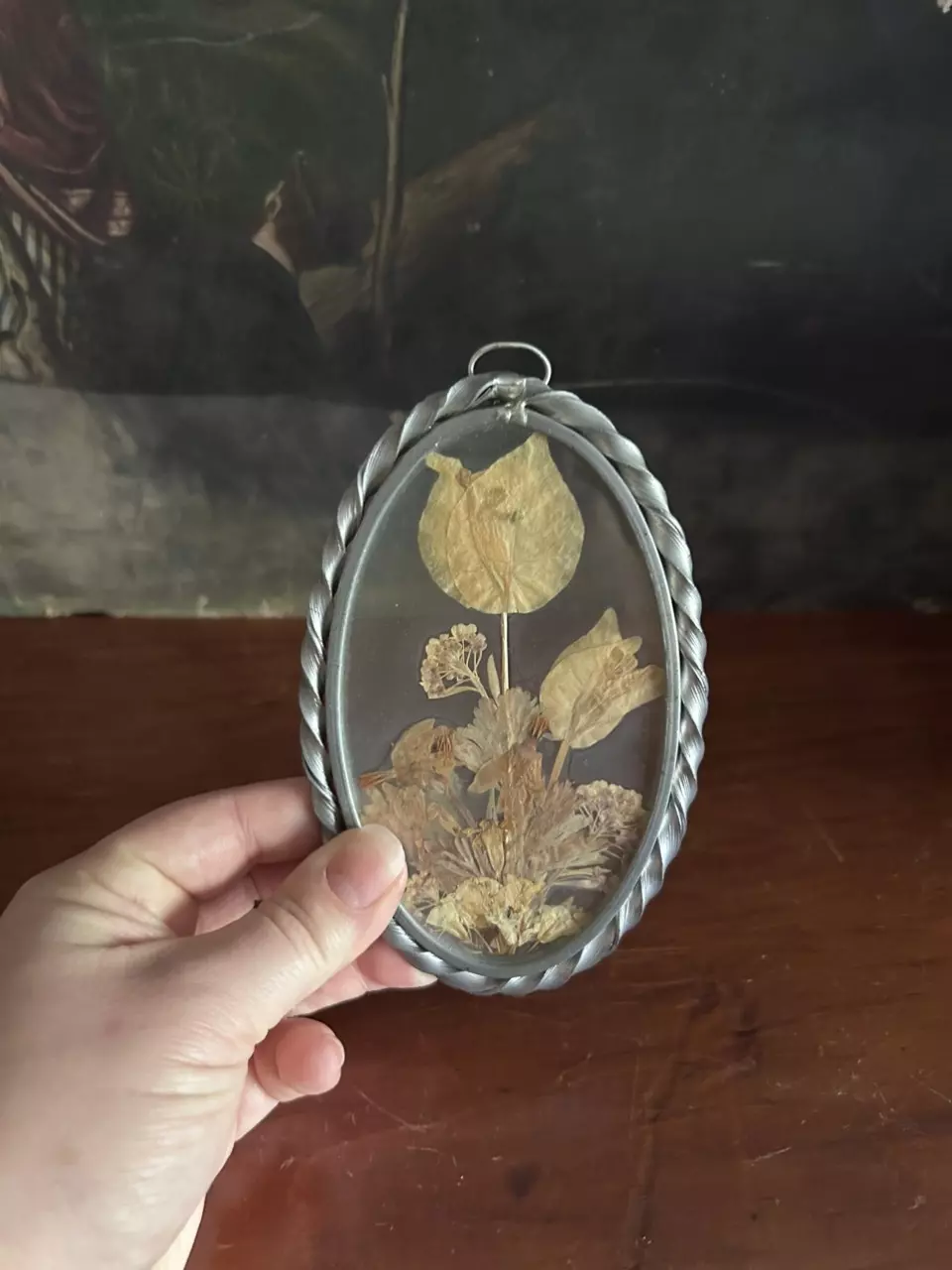 plant/Oval Dried Floral-0