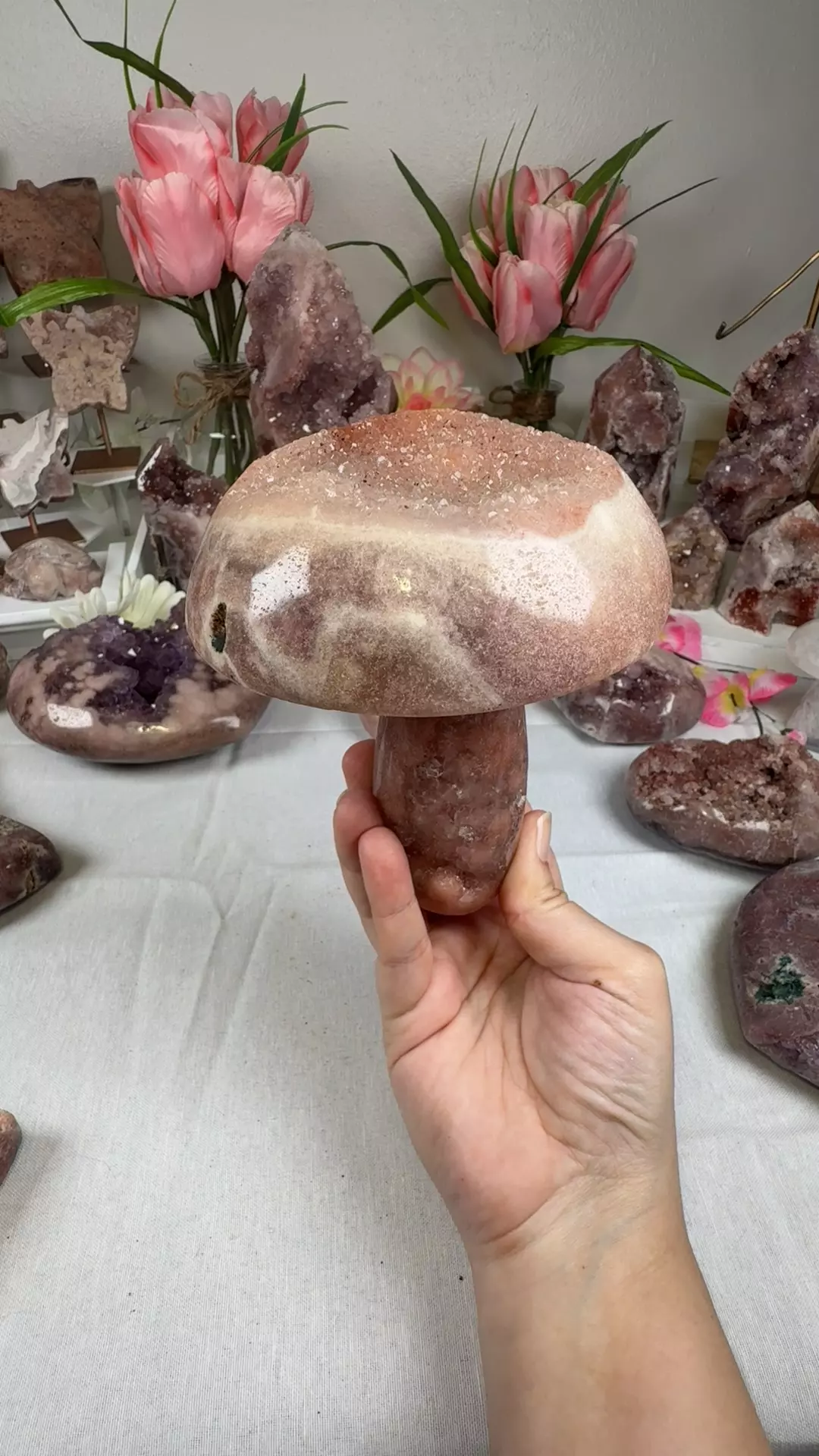 plant/pink amethyst mushroom A10056-0