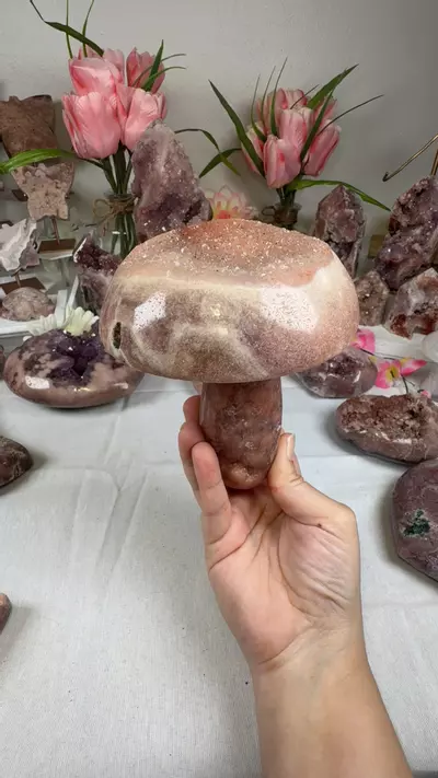 plant/pink amethyst mushroom A10056-0-thumbnail