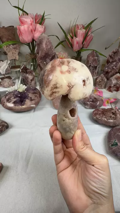 plant/pink amethyst mushroom A10047-0-thumbnail