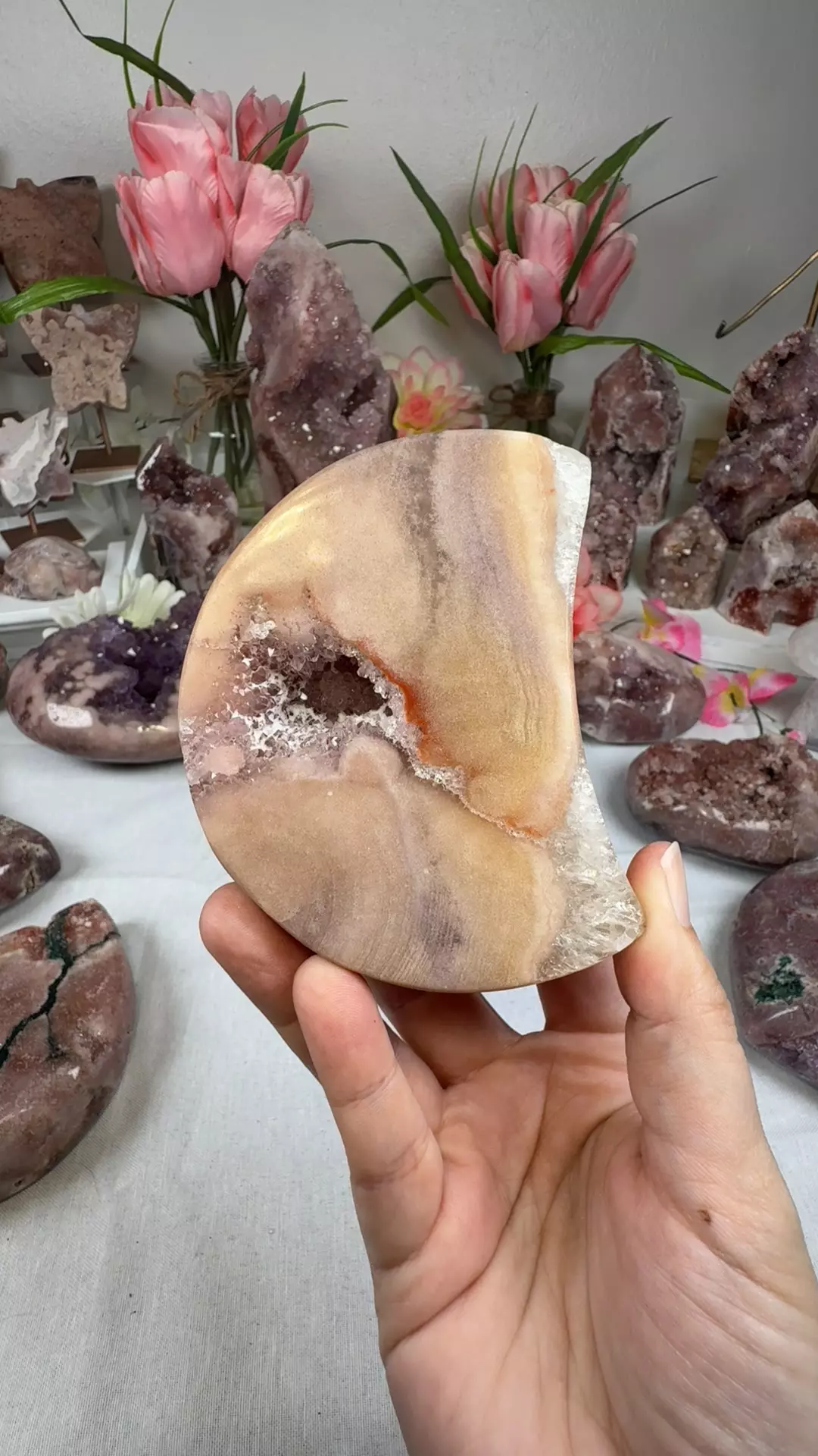 plant/pink amethyst moon A10059-0