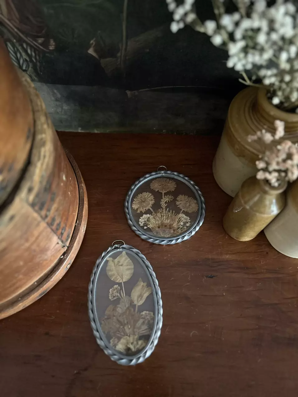 plant/Oval Dried Floral-3