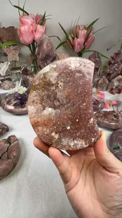 plant/pink amethyst moon A10073-0-thumbnail