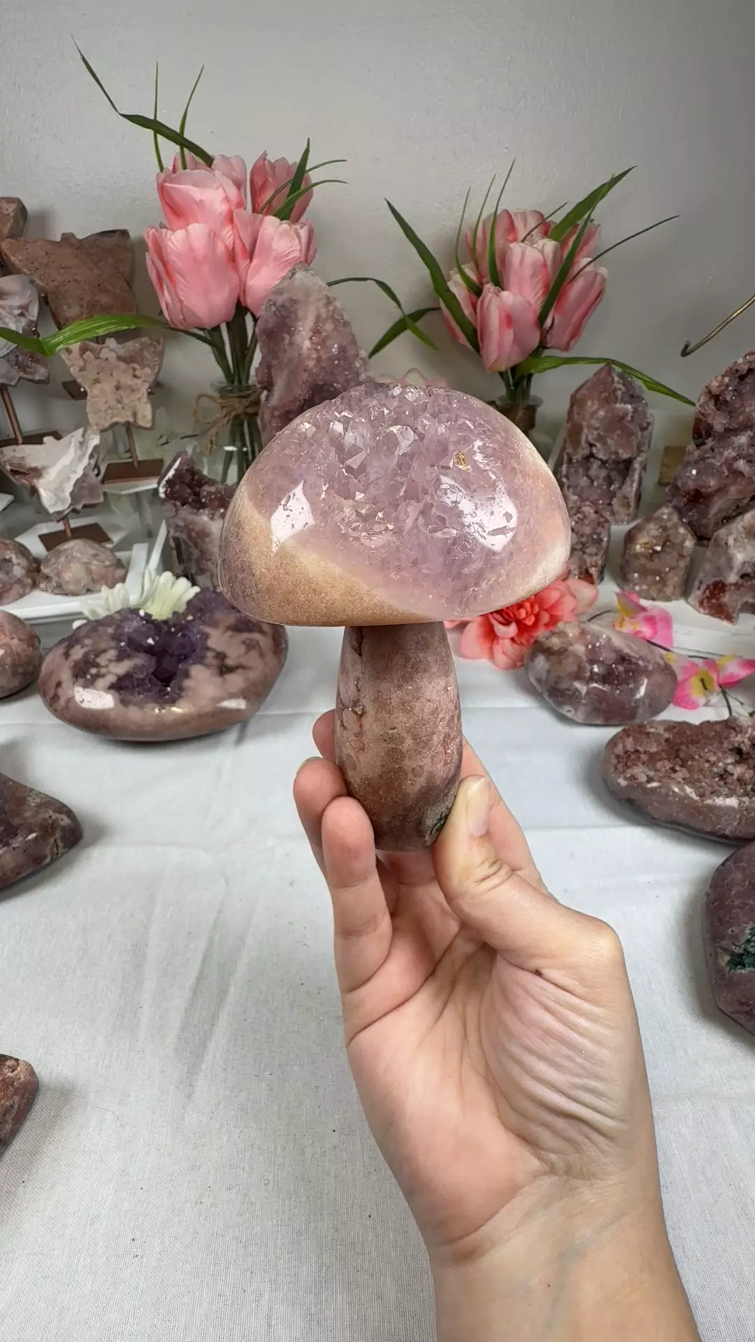 plant/pink amethyst mushroom A10057-0
